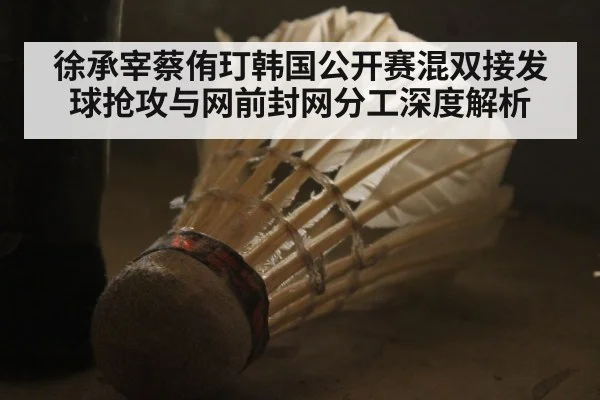 徐承宰蔡侑玎韩国公开赛混双接发球抢攻与网前封网分工深度解析